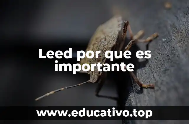 Leed por que es importante