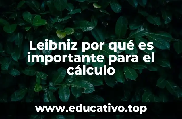 Leibniz por qué es importante para el cálculo