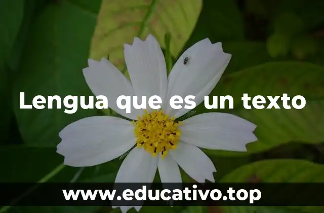 Lengua que es un texto