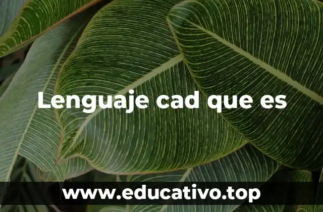 Lenguaje cad que es