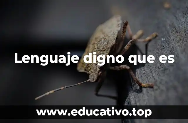 Lenguaje digno que es