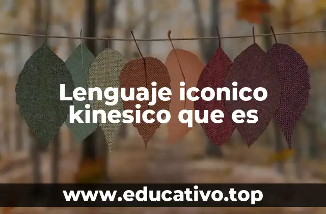 Lenguaje iconico kinesico que es