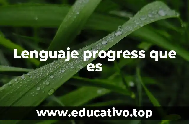 Lenguaje progress que es