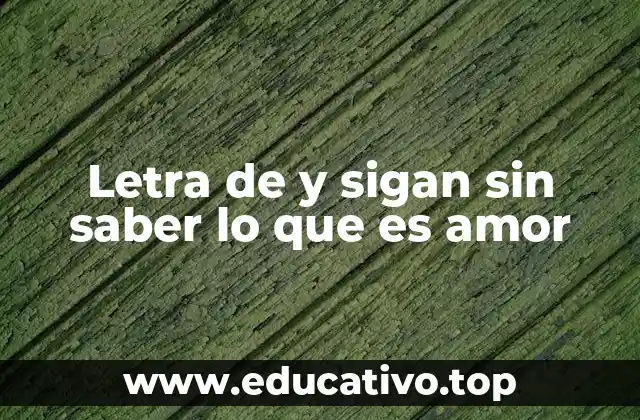 Letra de y sigan sin saber lo que es amor
