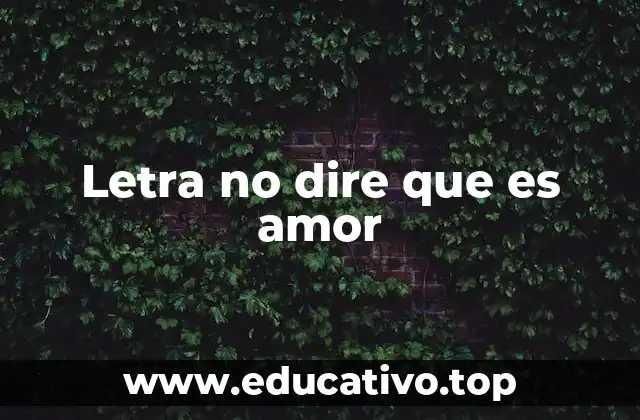 Letra no dire que es amor
