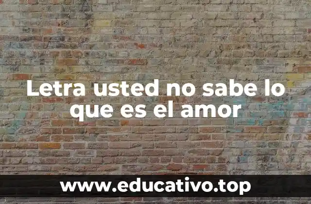 Letra usted no sabe lo que es el amor