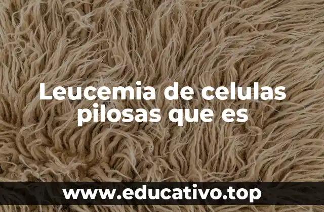 Leucemia de celulas pilosas que es