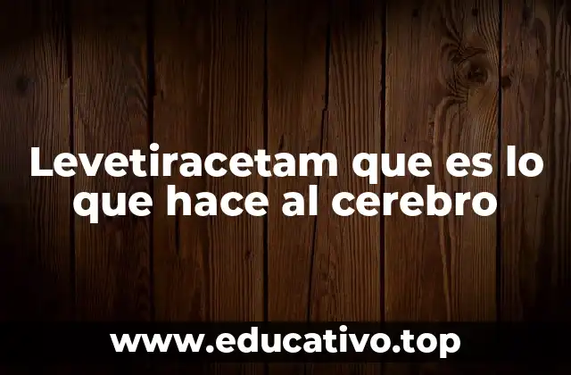 El rol del levetiracetam en la regulación cerebral y la prevención de convulsiones