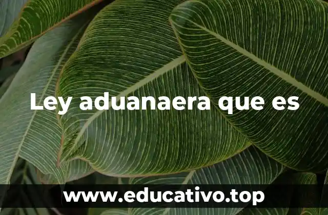 Ley aduanaera que es