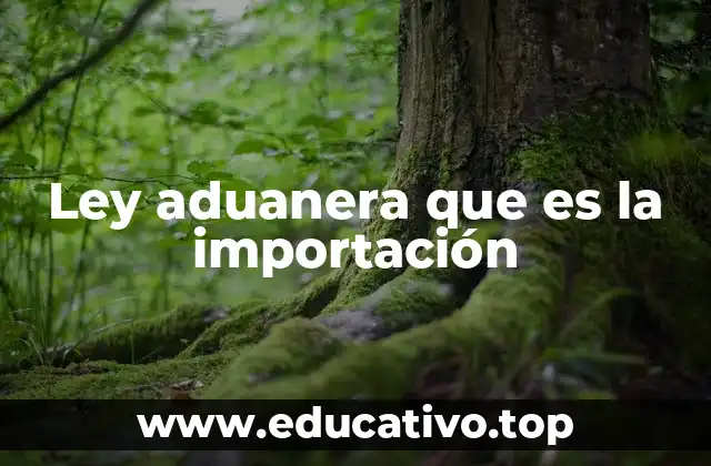 Ley aduanera que es la importación