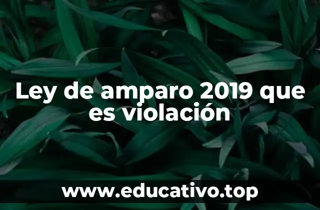 Ley de amparo 2019 que es violación