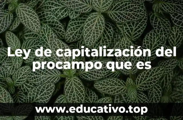 El papel del Procampo en el desarrollo rural mexicano