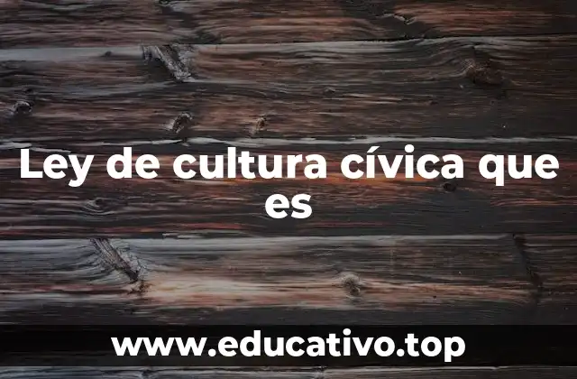 Ley de cultura cívica que es