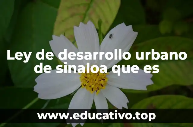Ley de desarrollo urbano de sinaloa que es