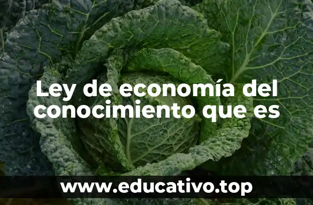 Ley de economía del conocimiento que es
