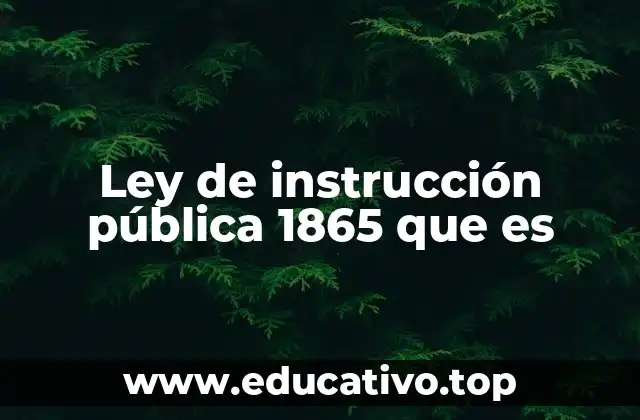 Ley de instrucción pública 1865 que es