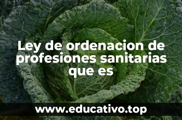 Ley de ordenacion de profesiones sanitarias que es