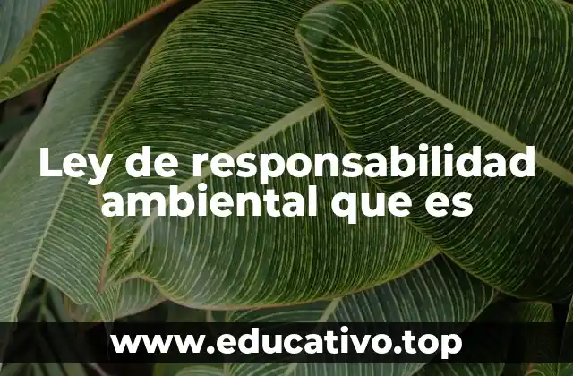 Ley de responsabilidad ambiental que es