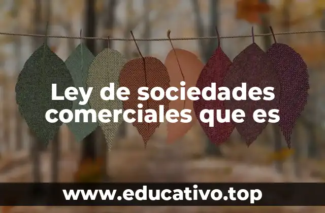 Ley de sociedades comerciales que es