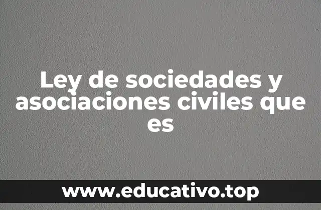 Ley de sociedades y asociaciones civiles que es