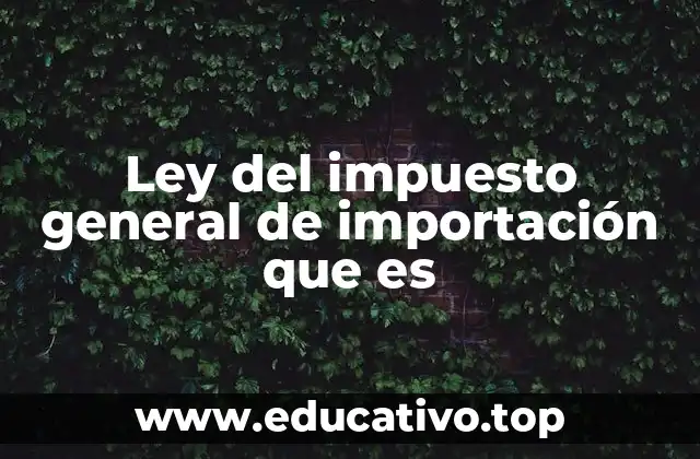 Ley del impuesto general de importación que es
