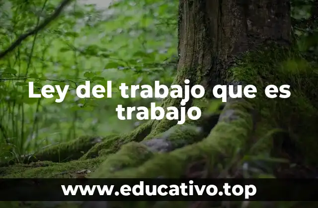 Ley del trabajo que es trabajo