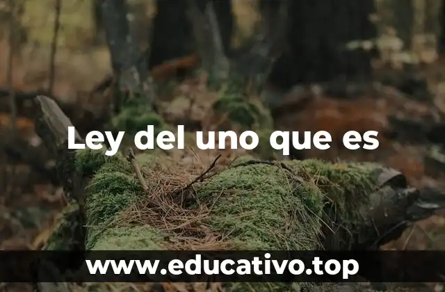 Ley del uno que es