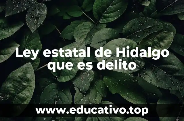 Ley estatal de Hidalgo que es delito