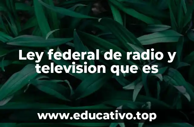 Ley federal de radio y television que es