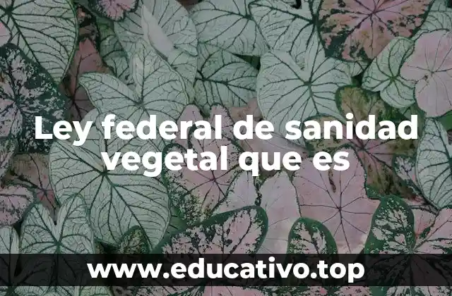 Ley federal de sanidad vegetal que es