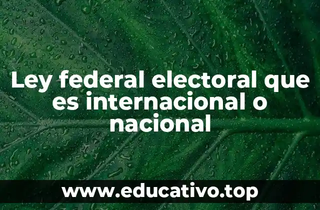 La importancia del marco legal electoral en la gobernanza democrática