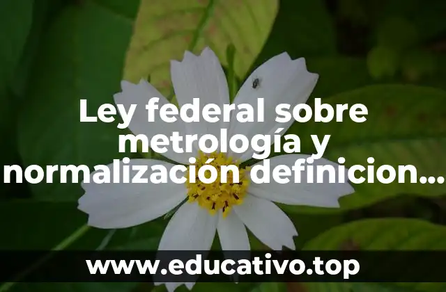 Ley federal sobre metrología y normalización definicion que es