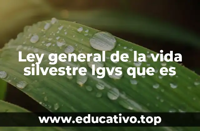 La importancia de proteger la fauna y flora silvestre