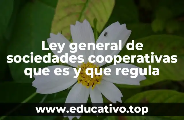 Ley general de sociedades cooperativas que es y que regula