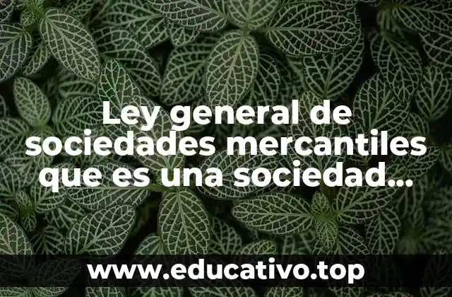 Ley general de sociedades mercantiles que es una sociedad anonima