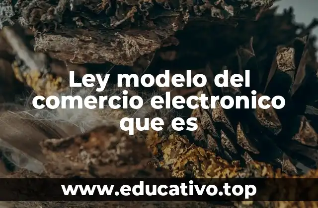 Ley modelo del comercio electronico que es