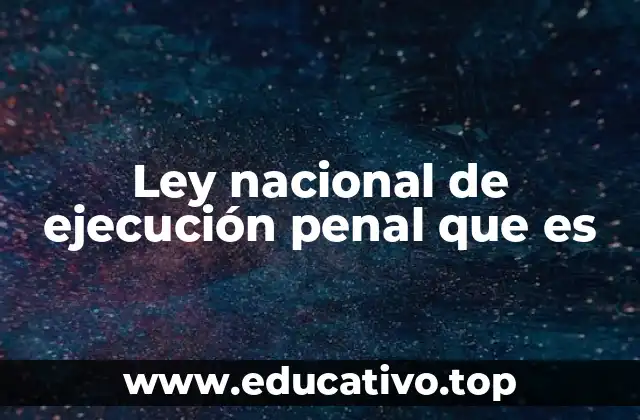 Ley nacional de ejecución penal que es