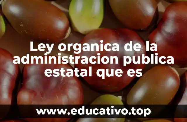 Ley organica de la administracion publica estatal que es