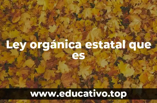 Ley orgánica estatal que es