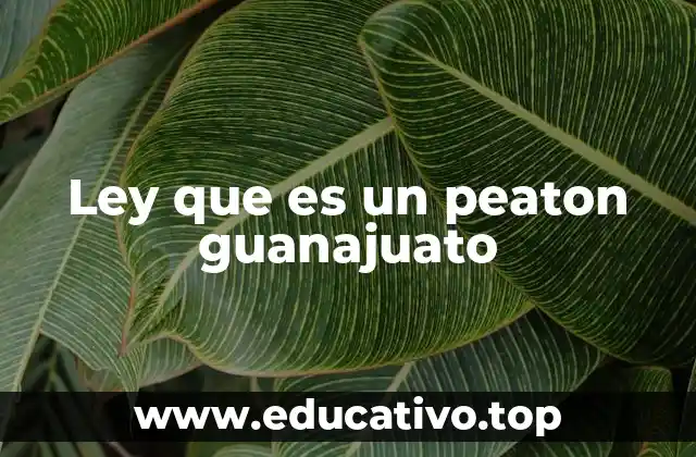 Ley que es un peaton guanajuato