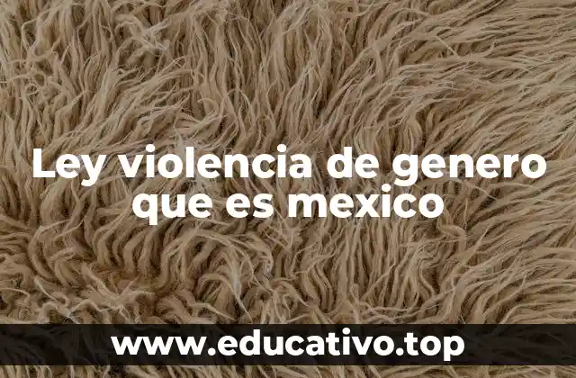Ley violencia de genero que es mexico
