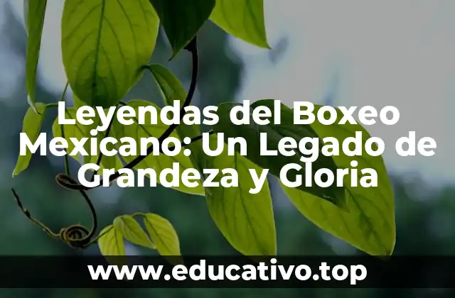 Leyendas del Boxeo Mexicano: Un Legado de Grandeza y Gloria
