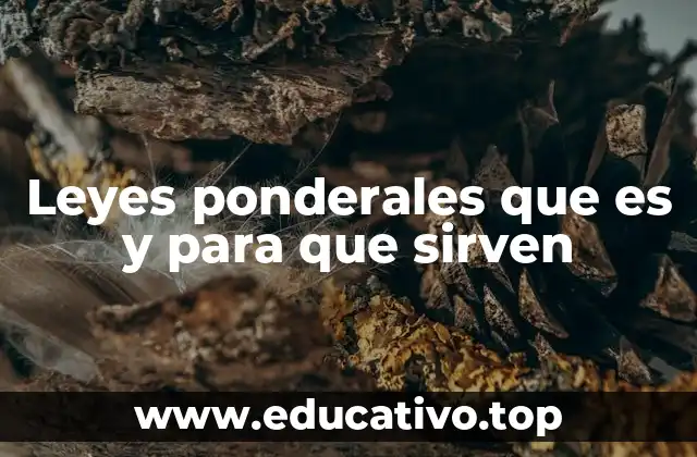 Leyes ponderales que es y para que sirven