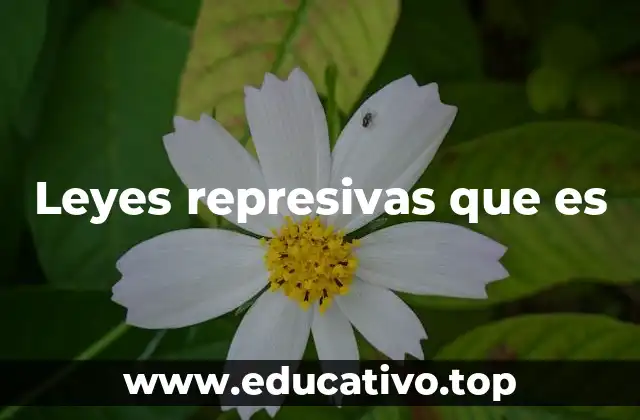 Leyes represivas que es