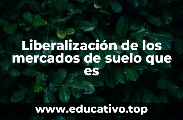 Liberalización de los mercados de suelo que es