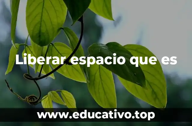 La importancia de liberar espacio en tu vida