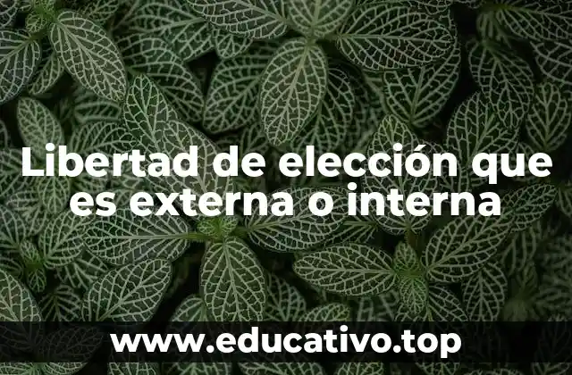 La importancia de distinguir entre tipos de libertad