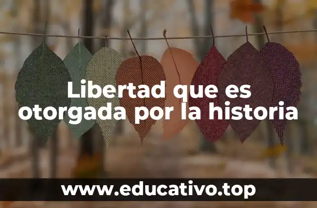 Libertad que es otorgada por la historia