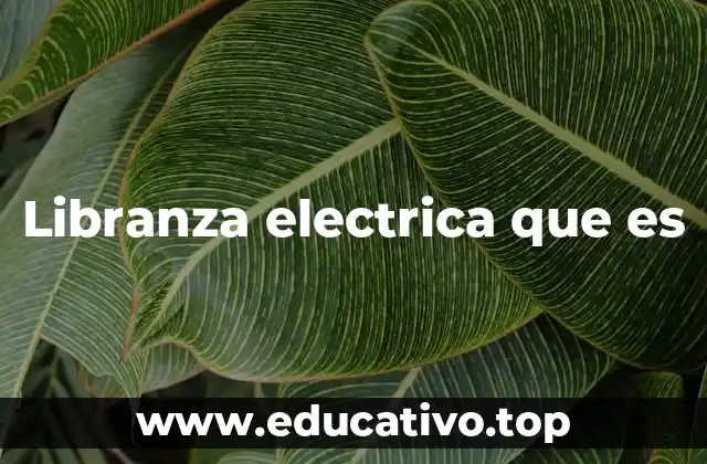 Libranza electrica que es