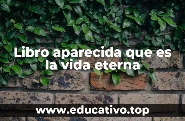 Libro aparecida que es la vida eterna
